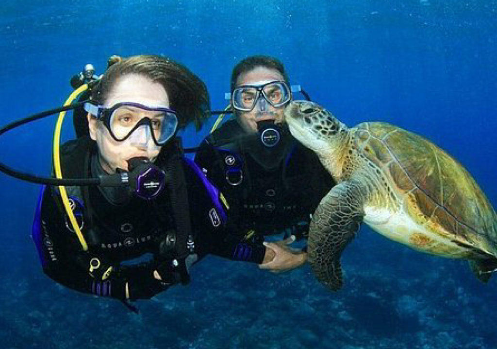 Gold Coast Dive Centre