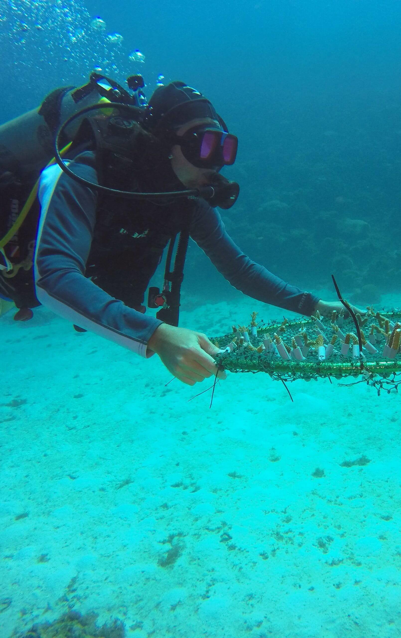 Certificate in Marine Studies